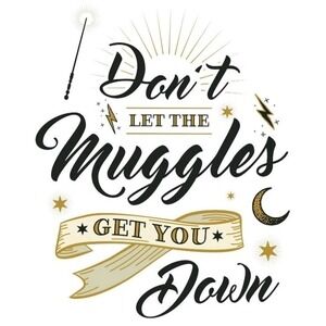 Harry Potter Don't Let The Muggles Get You Down Wall Decals RoomMates 7 Pack‎